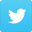 twitter-icon-footer
